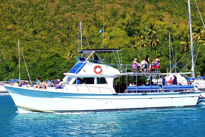 Whale and Dolphin Watching Cruise in St Lucia - Rough water, rain, and seasickness
