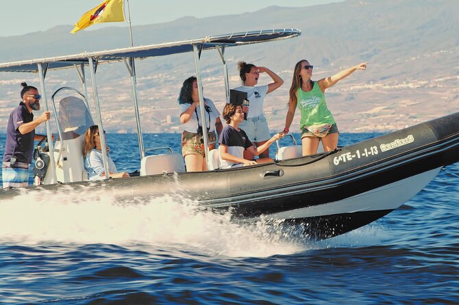 Whale and Dolphin Watching EcoAdventure in Tenerife - Is $65.17 a fair price?