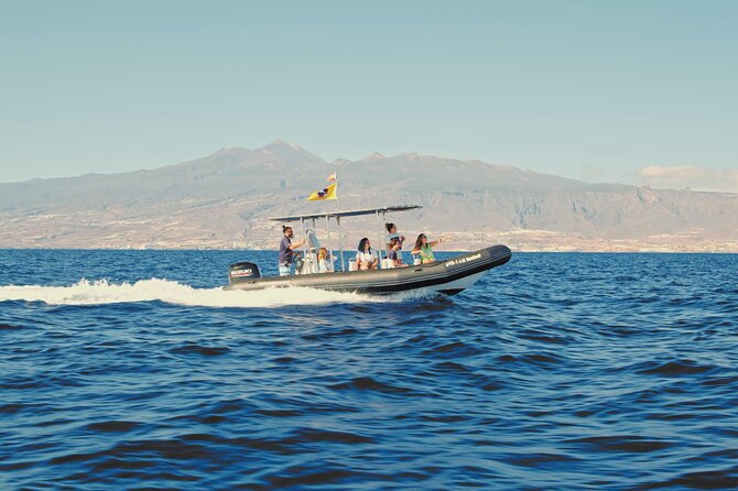 Whale and Dolphin Watching EcoAdventure in Tenerife - Who will enjoy this most?