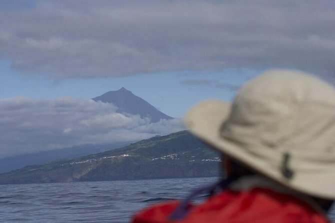 Whale and dolphin watching in Pico Island - Leaving Lajes do Pico for open water