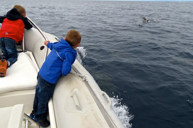 Whale and Dolphin Watching in San Diego - Captains Ray and Alyssa set the tone