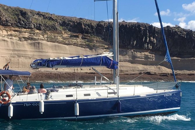Whale and Dolphin Watching Sailing Boat with Drinks, Snacks and Swimming Time - Swimming near the Tenerife coast