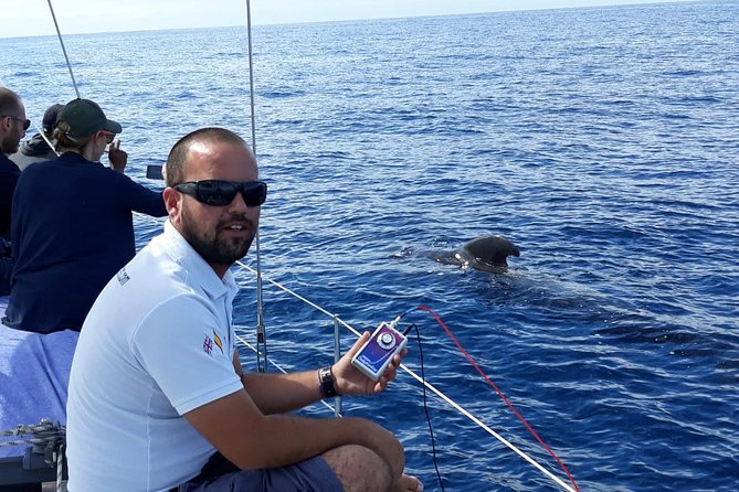 Whale and Dolphin Watching Sailing Boat with Drinks, Snacks and Swimming Time - Seasickness, safety, and comfort