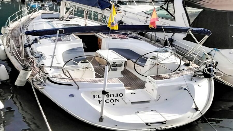Whale and Dolphin Watching Sailing Tour – Los Gigantes (3H) - Small groups, private charters, and the value of the price