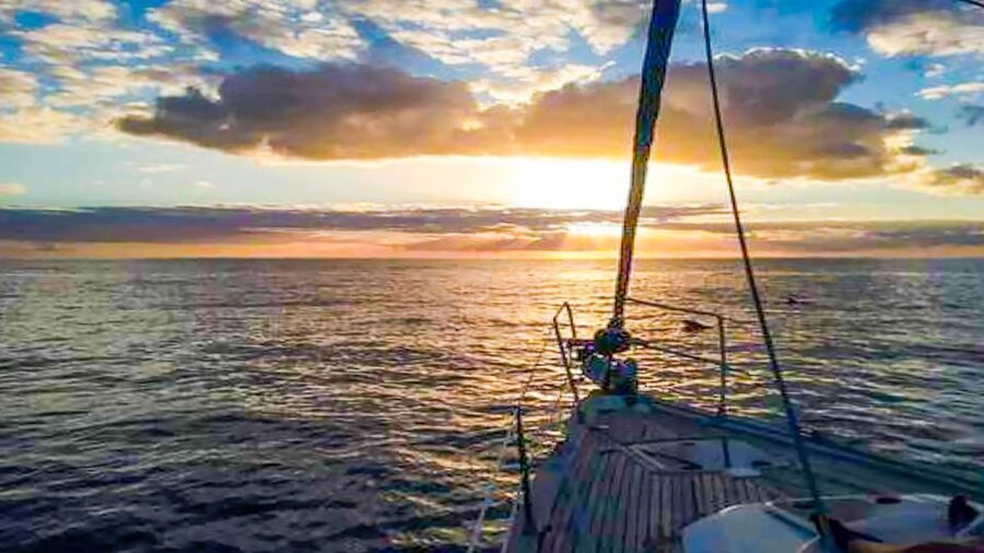 Whale and Dolphin Watching Sailing Tour – Los Gigantes (3H) - What the crew adds to the experience