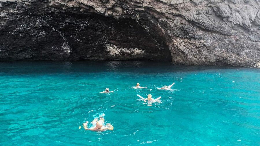 Whale and Dolphin Watching Sailing Tour – Los Gigantes (3H) - Choosing the best departure time
