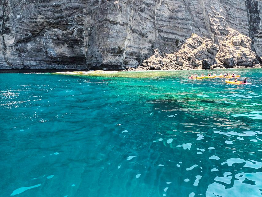 Whale and Dolphin Watching Sailing Tour – Los Gigantes (3H) - Who should book this Los Gigantes sailing trip