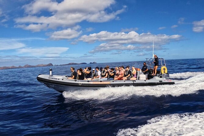 Whale and Dolphin Watching Tour from Funchal - Weather, cancellation, and planning details