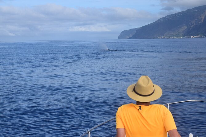 Whale and Dolphin Watching Tour in Madeira - What the 2.5-hour schedule feels like
