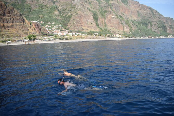 Whale and Dolphin Watching Tour in Madeira - Weather, cancellation, and practical planning