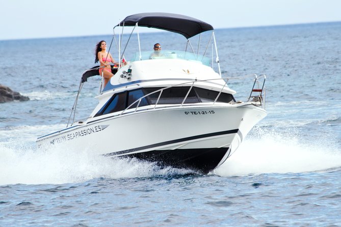 Whale and dolphin watching tour Los Gigantes and Masca in small groups - Key points to know before you book