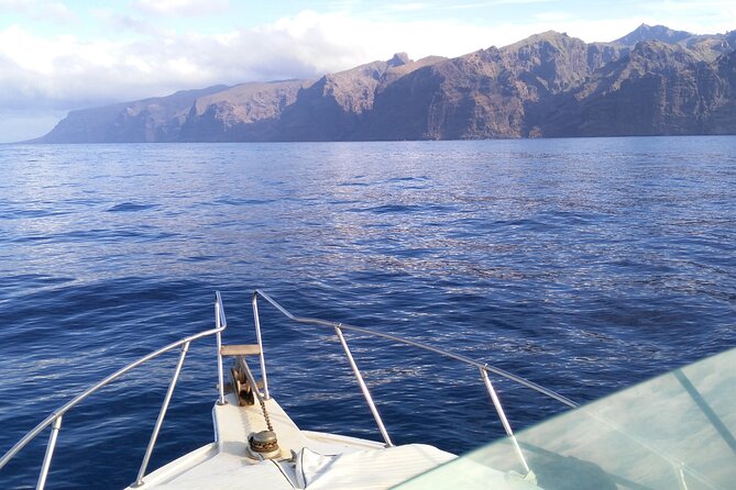 Whale and dolphin watching tour Los Gigantes and Masca in small groups - Swimming and snorkeling near Masca