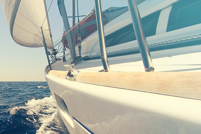 Whale and Dolphin Watching Yacht Trip in Puerto Colon - Why This Small Yacht Works So Well