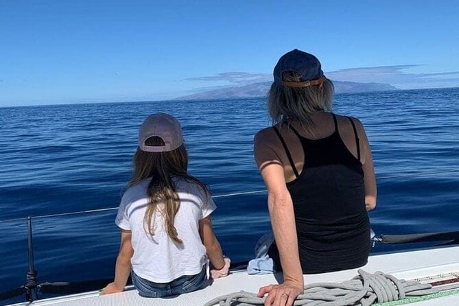 Whale and Dolphin Watching Yacht Trip in Puerto Colon - The Swim and Snorkel Stop
