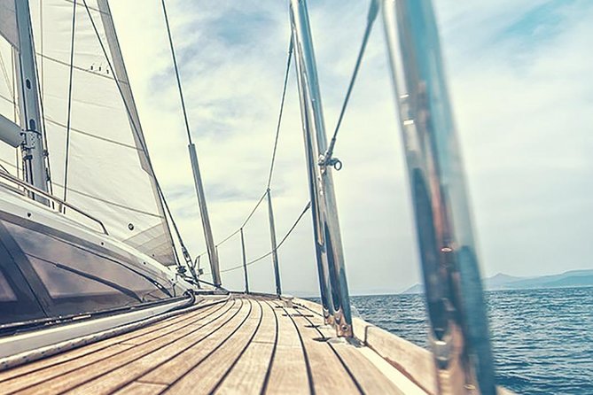Whale and Dolphin Watching Yacht Trip in Puerto Colon - What Three Hours Feel Like on This Yacht
