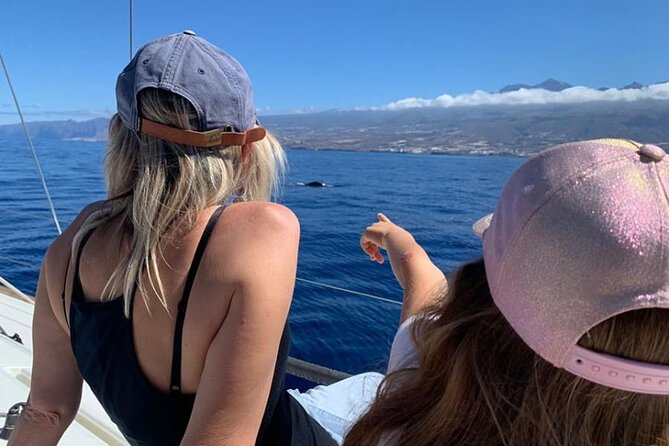 Whale and Dolphin Watching Yacht Trip in Puerto Colon - Who Should Book This Trip?