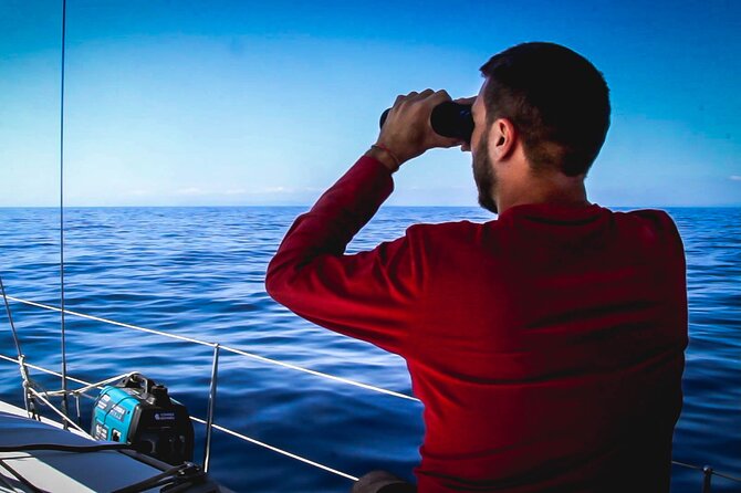 Whale & Dolphin Observation on Electric Sailing Boat in Denia - A quiet morning on the Denia coast