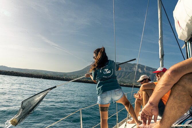 Whale & Dolphin Observation on Electric Sailing Boat in Denia - A marine lesson, not just a boat ride