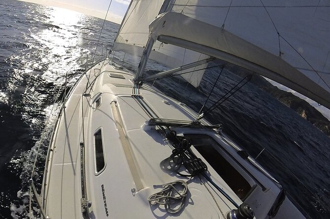 Whale & Dolphin Observation on Electric Sailing Boat in Denia - Drinks, fruit, and the missing brunch