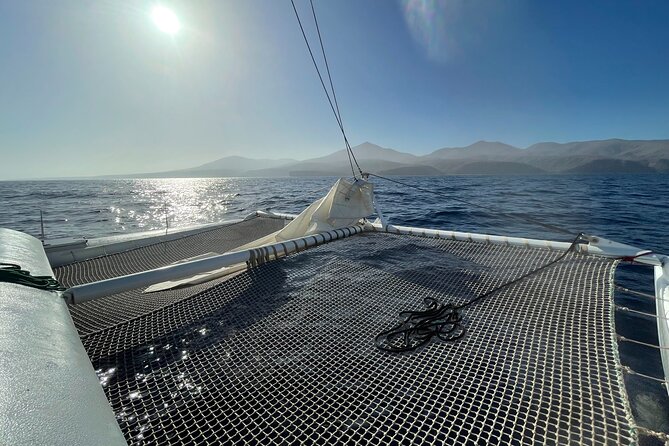 Whale & Dolphin Observation on Silent Catamaran with Hydrophone - Setting Out From Puerto Calero at 9:00 am
