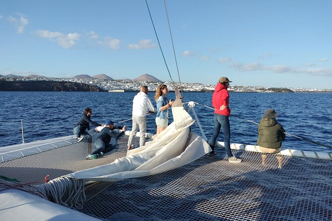 Whale & Dolphin Observation on Silent Catamaran with Hydrophone - Snacks, Drinks, and Time on Deck