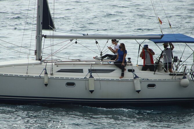 Whale & Dolphin Watching Boat Trip in Tenerife On a Sailing Boat (3 Hr) - Looking for pilot whales and dolphins