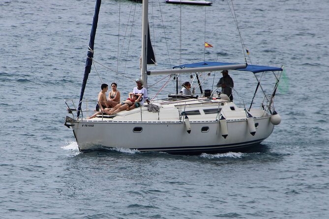 Whale & Dolphin Watching Boat Trip in Tenerife On a Sailing Boat (3 Hr) - The secluded bay swim stop