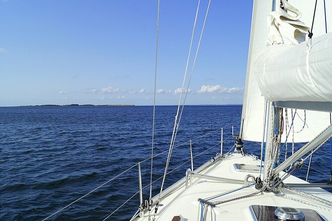Whale & Dolphin Watching Boat Trip in Tenerife On a Sailing Boat (3 Hr) - Who will enjoy this sailing trip most