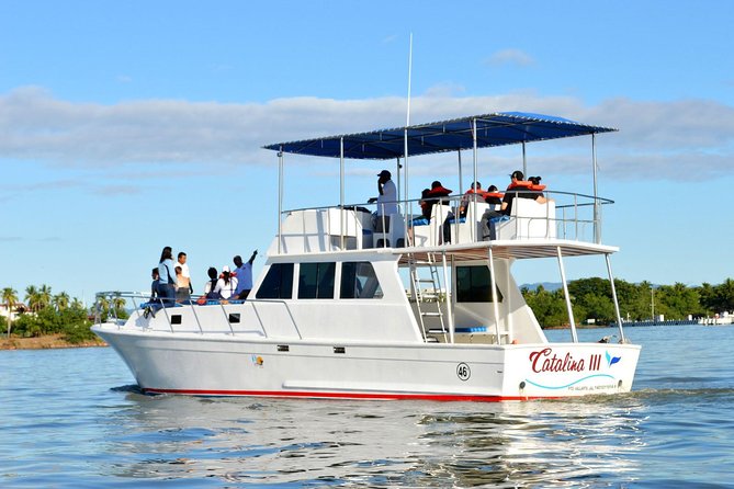 Whale & Dolphin Watching Cruise in Puerto Vallarta All Inclusive - Dolphins, Sea Lions, and the Rest of the Bay