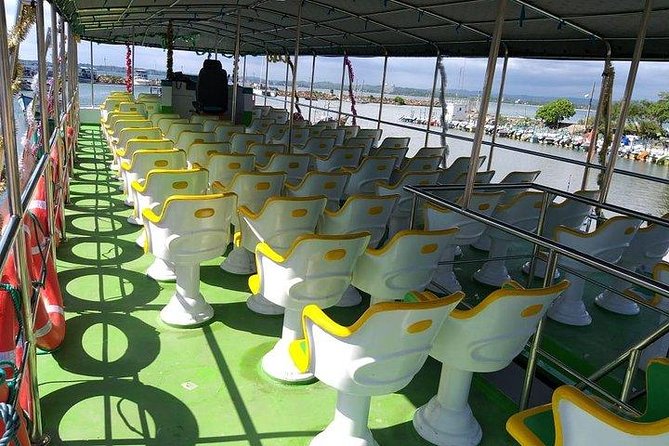 Whale & Dolphin Watching Day Tour including Handunugoda Teafactory - Whales, dolphins, and the limits of nature
