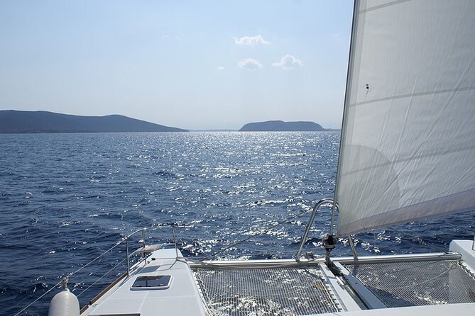 Whale & Dolphin Watching in Tenerife (Puerto Colon) On a Large Catamaran - What the Open Bar Really Adds