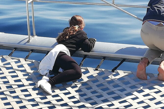 Whale & Dolphin Watching With Mustcat Virgin Coast Trip On a Large Catamaran - What the boat size means for your day