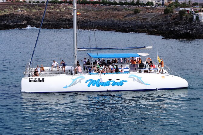 Whale & Dolphin Watching With Mustcat Virgin Coast Trip On a Large Catamaran - Who will enjoy this Tenerife boat trip