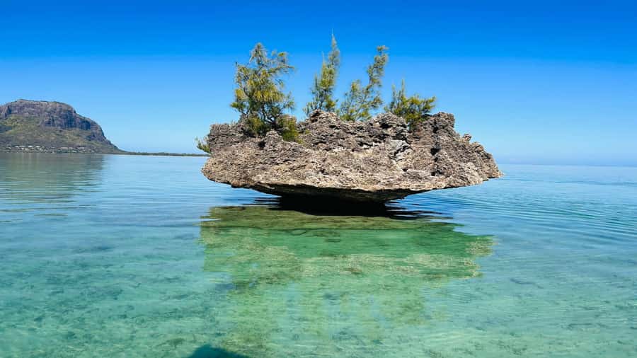 Whale & Dolphins Swimming - Private Speedboat Exclusive Tour - Is $778 good value for four people?