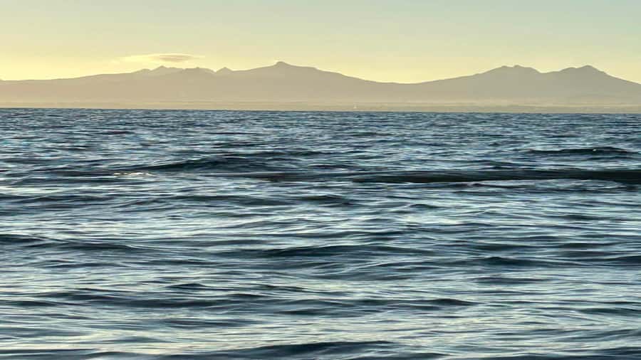 Whale & Dolphins Swimming - Private Speedboat Exclusive Tour - Who will enjoy this private speedboat trip?