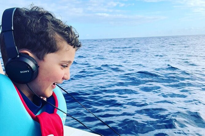 Whale Dream ltd - Whales watching and swim with dolphins - Swimming with dolphins, with limits
