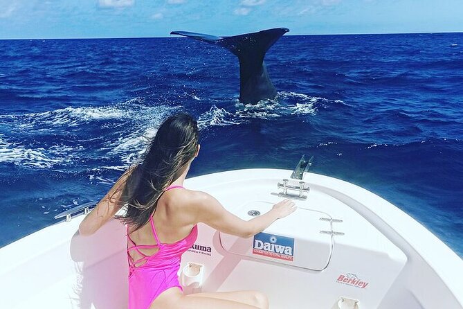 Whale Dream ltd - Whales watching and swim with dolphins - Who will enjoy this outing most