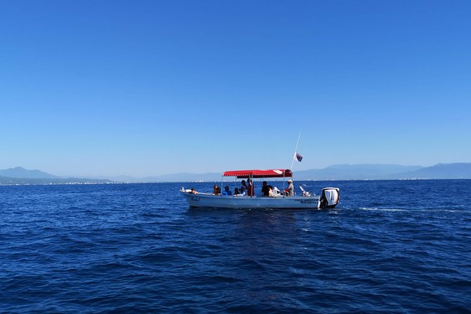 Whale Encounter Puerto Vallarta - Is $99 a fair price?