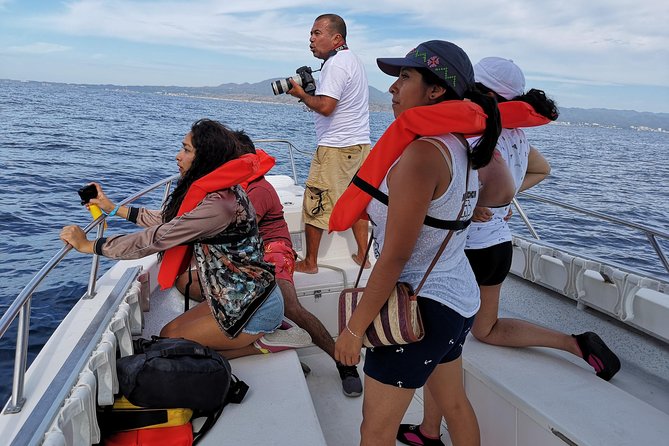 Whale Encounter Puerto Vallarta - The three-hour search for humpbacks
