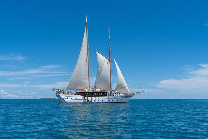 Whale's Tale Day Cruise from Port Denarau - A private island with very little on it
