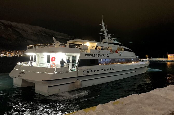 Whale Safari in Tromso - What the catamaran is like on board