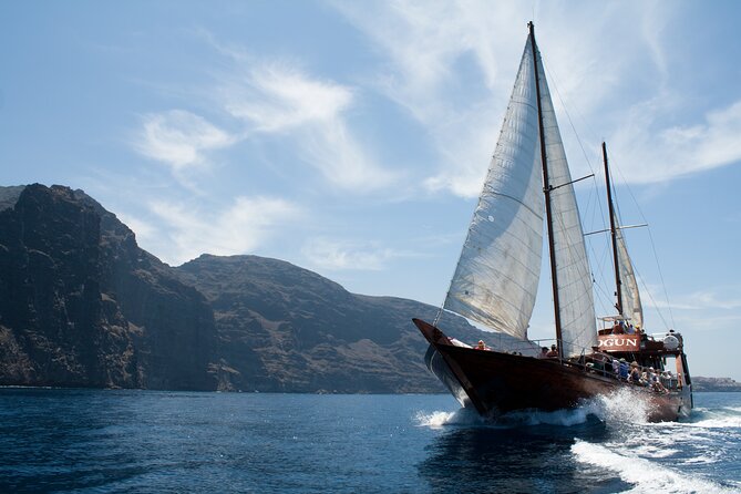 Whale Safari to Los Gigantes with pickup from North - Setting out from Puerto Colón