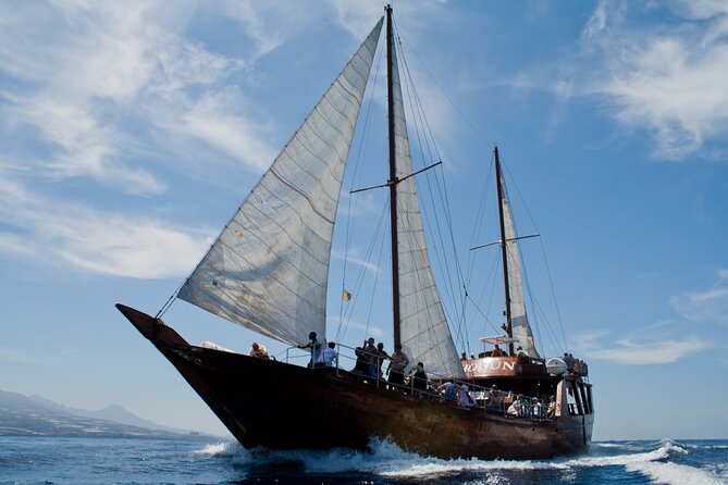 Whale Safari to Los Gigantes with pickup from North - What is served for lunch