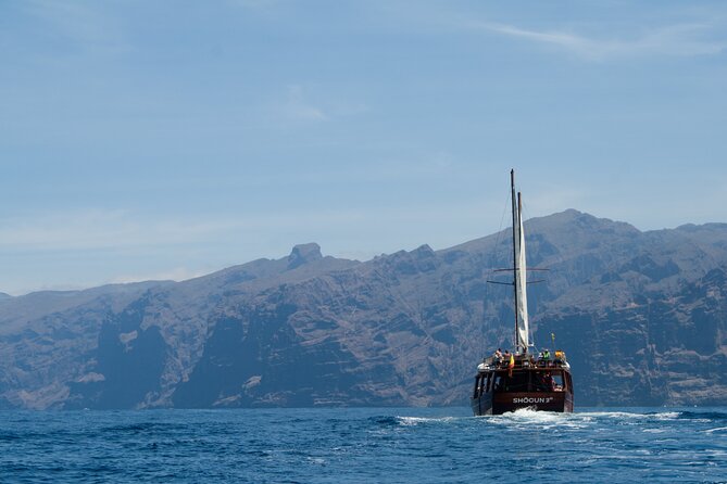 Whale Safari to Los Gigantes with pickup from North - The return along Tenerife’s southwest coast