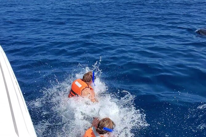 Whale Shark Adventure in Isla Mujeres and Cancun - The beach stop, ceviche, and food on board