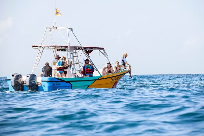 Whale Shark and Snorkeling Adventure from Isla Holbox - Should you book the Isla Holbox whale shark adventure?