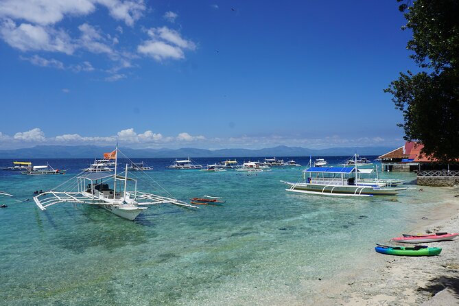 Whale Shark, Canyoneering, Sardines Run and Turtles with Transpo - One long day through southern Cebu