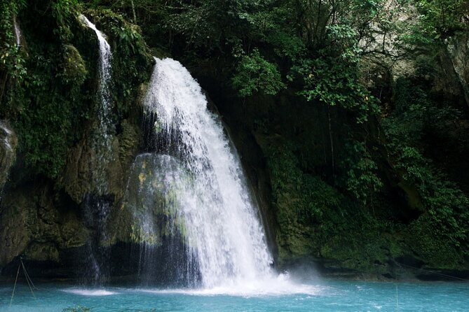 Whale Shark, Canyoneering, Sardines Run and Turtles with Transpo - The guides and organization