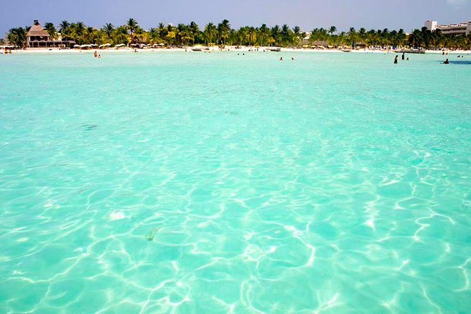 Whale Shark Encounter Experience in Cancun (Snack Lunch included) - Is $189 a fair price?