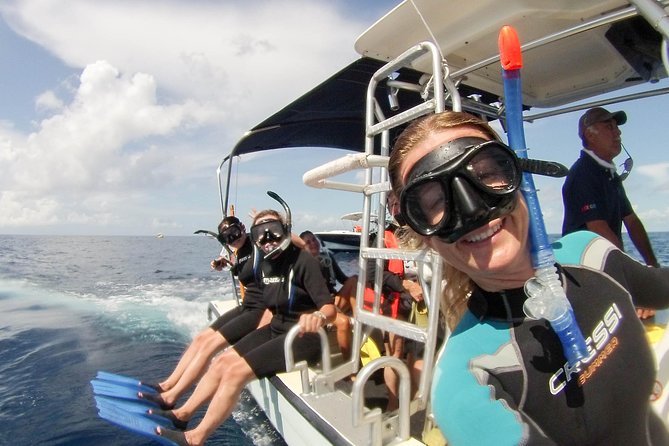 Whale shark encounter Private tour - swim with whale shark cancun - Food on the way to Isla Mujeres